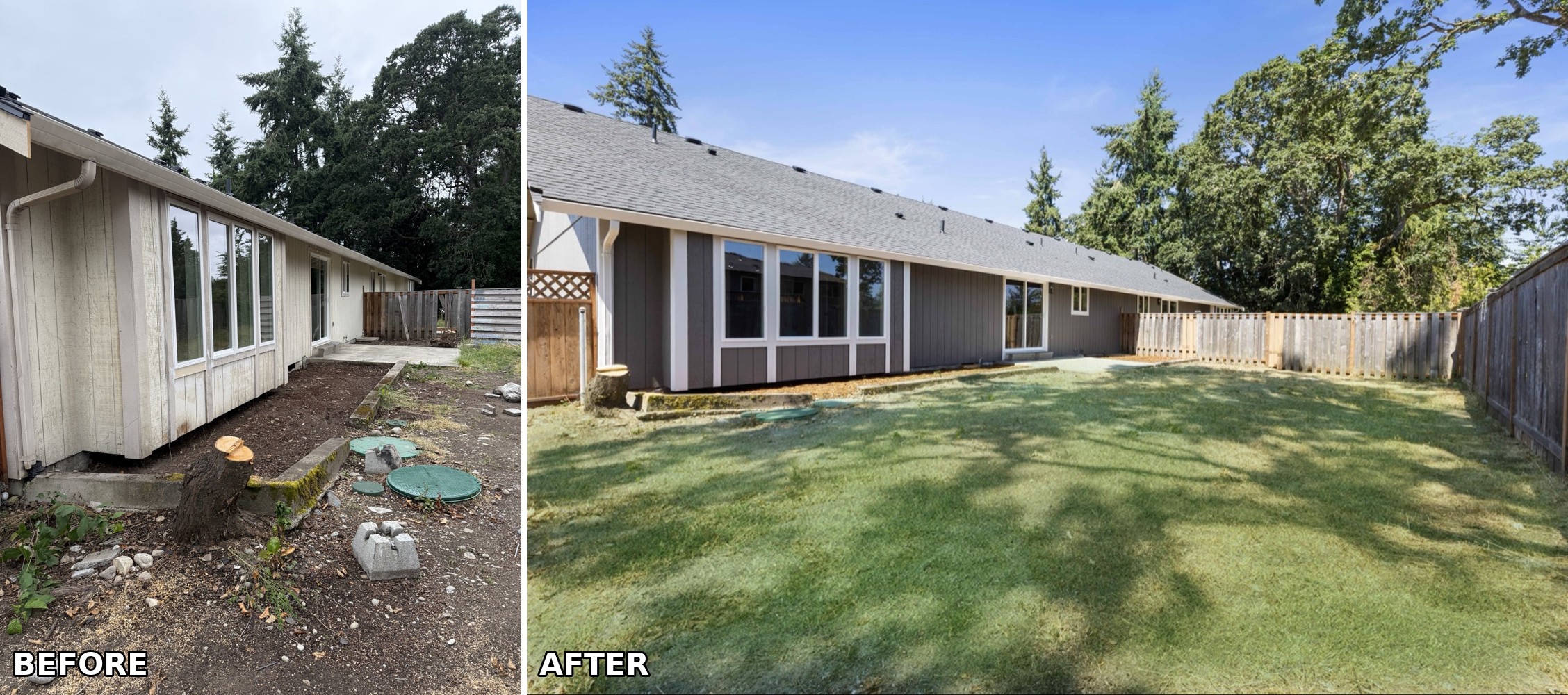 Backyard restoration in Tacoma, WA — cleared, fenced, and re-seeded.